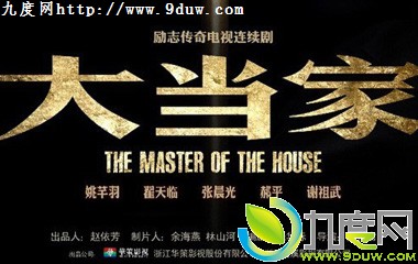 大当家电视剧,大当家全集剧情,大当家故事介绍,大当家