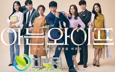 韩剧认识的妻子/認識的妻子分集剧情介绍第1-16全集大结局