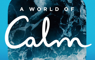 宁静的世界/A World of Calm美剧剧情介绍第1-10全集,什么时候播出时间,演员表